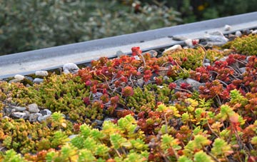 the cost of Sellan green roof installation