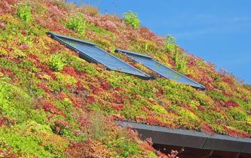 Sellan living roof systems